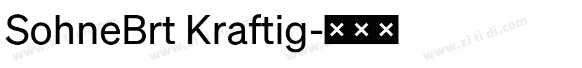 SohneBrt Kraftig字体转换